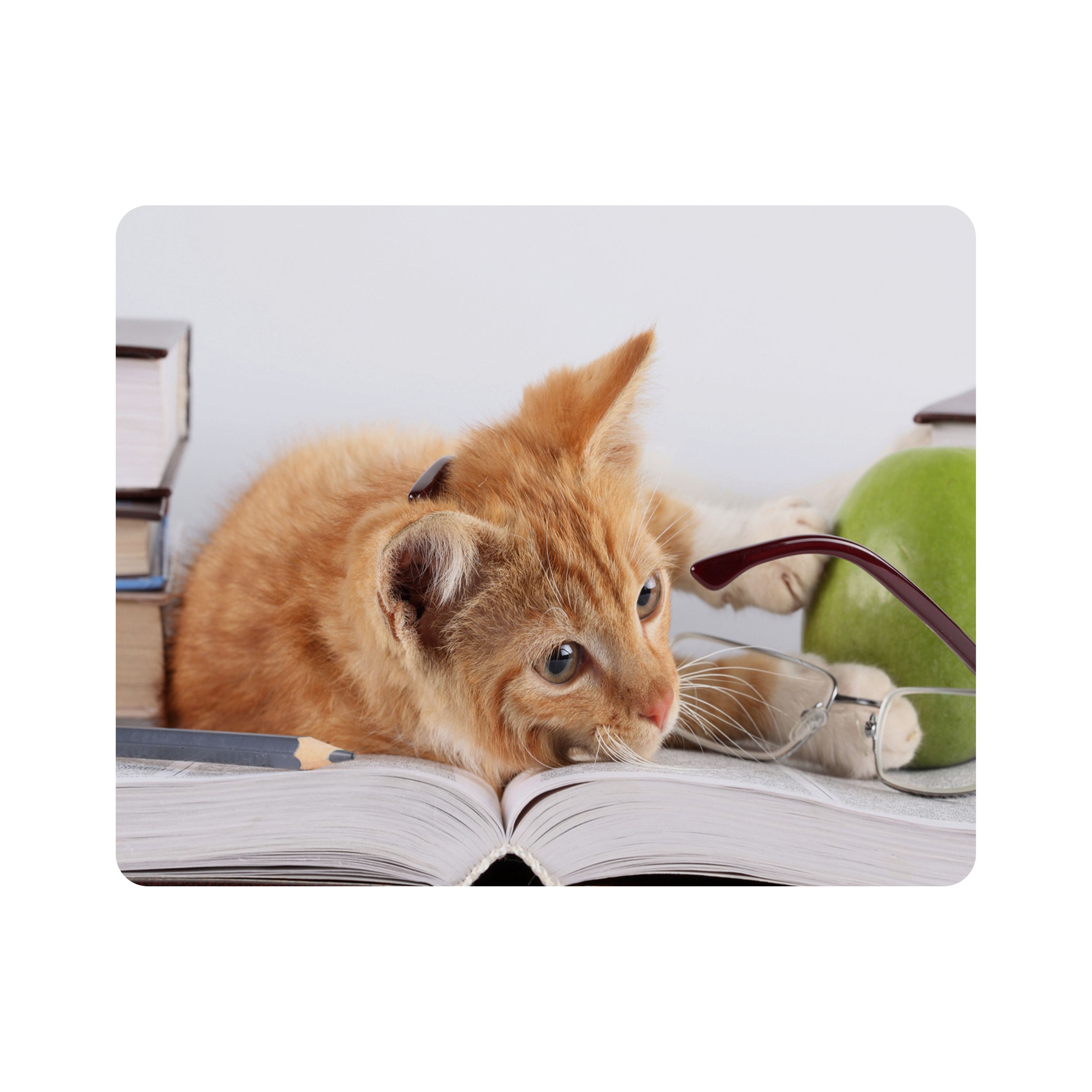 ماوس پد اطلس آبی طرح گربه و کتاب و عینک مدل T1502