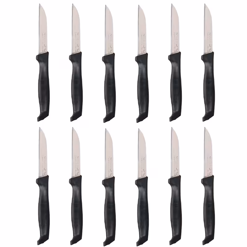 چاقو میوه خوری  کد 01 بسته 12 عددی