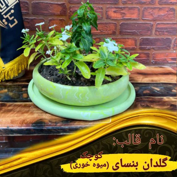 بنسای کوچک(میوه خوری. آجیل خوری.گلدان)