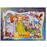 کتاب برجسته سوفیا اثر حسین کامیاب انتشارات آپامهر