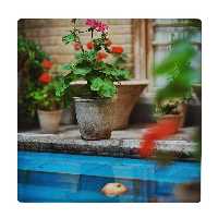  زیر لیوانی  طرح  حوض آب و گلدان های شمعدانی کد    4557512_3113