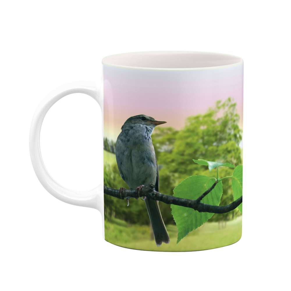 ماگ طرح پرنده مدل mgs05631