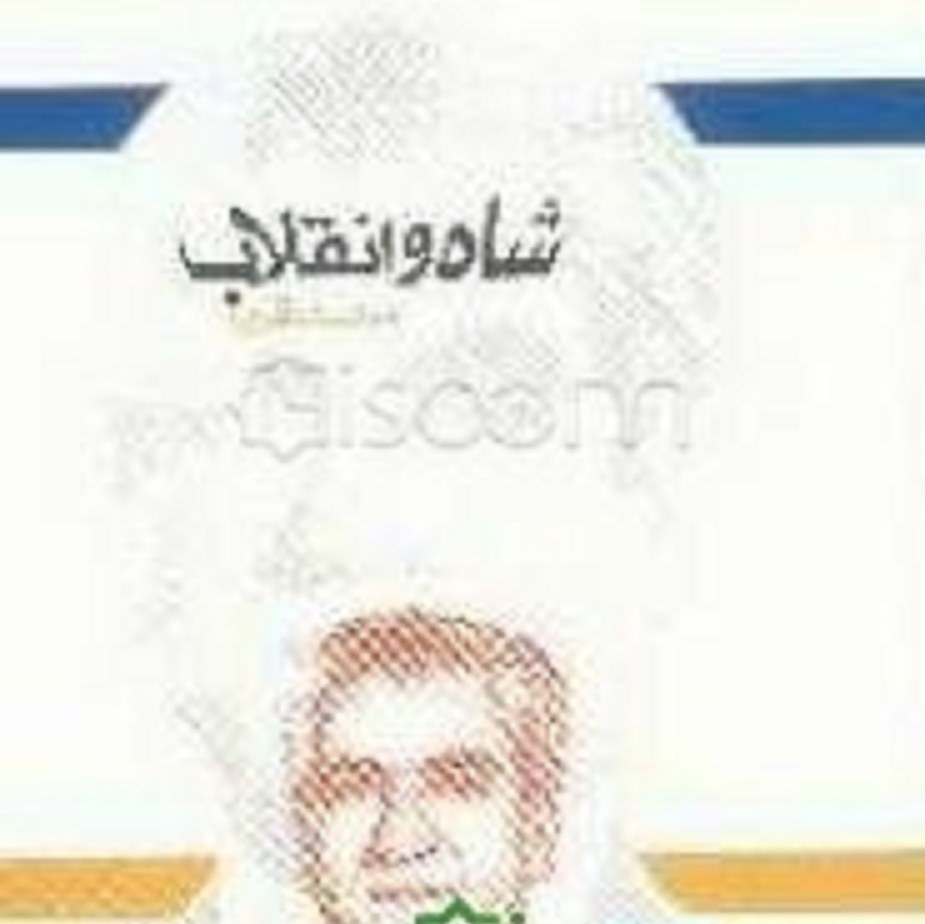 کتاب شاه و انقلاب