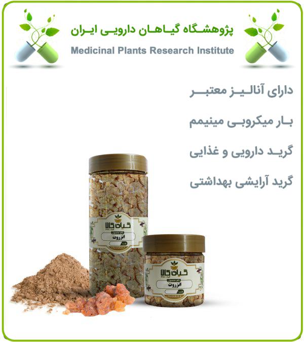 صمغ انزروت خشک یا پودری بسته بندی