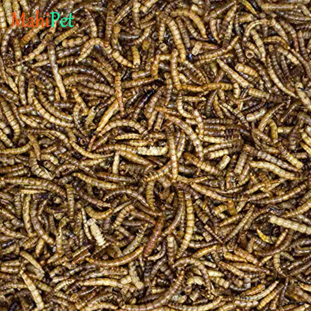 غذای کرم میلورم خشک بسته 500 گرمی