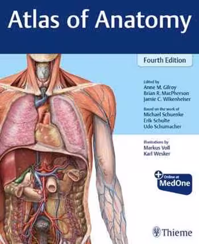[PDF] دانلود کتاب Atlas Of Anatomy, 4th ed, 2020