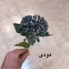 گل مصنوعی مدل شاخه قوره PA-10720