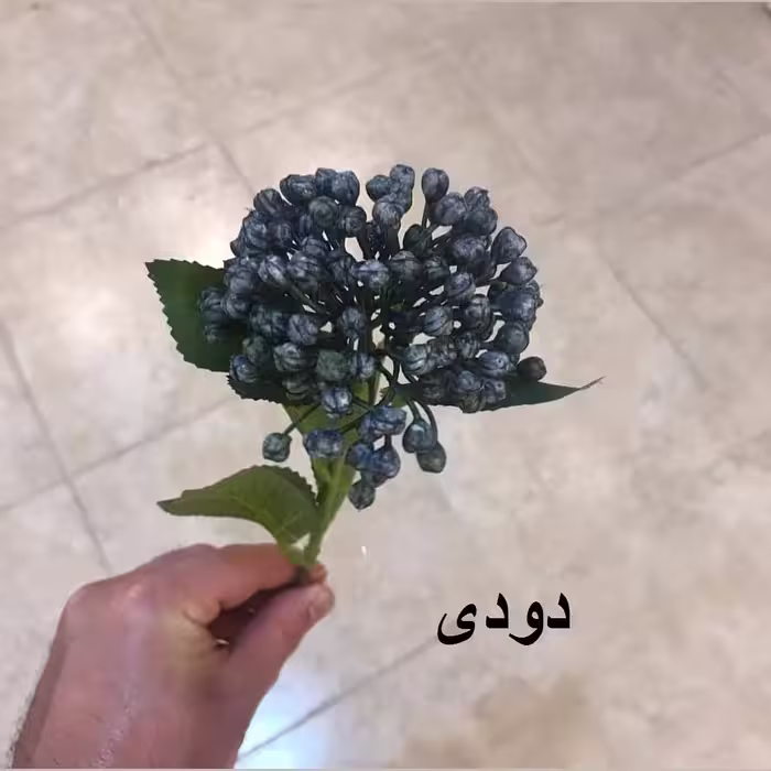 گل مصنوعی مدل شاخه قوره PA-10720