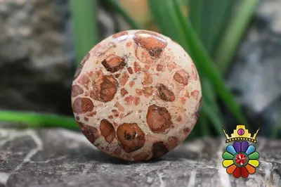 کافی بین جاسپر