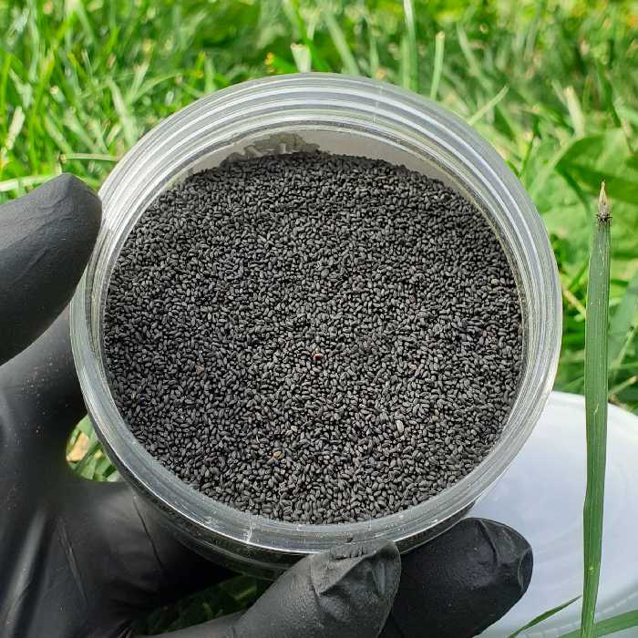 دانه شربتی ریز هندی 150 گرمی  