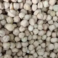 نخود  سایز 8 کرمانشاه  بسته بندی 5 کیلوگرمی شالیزارصادق 