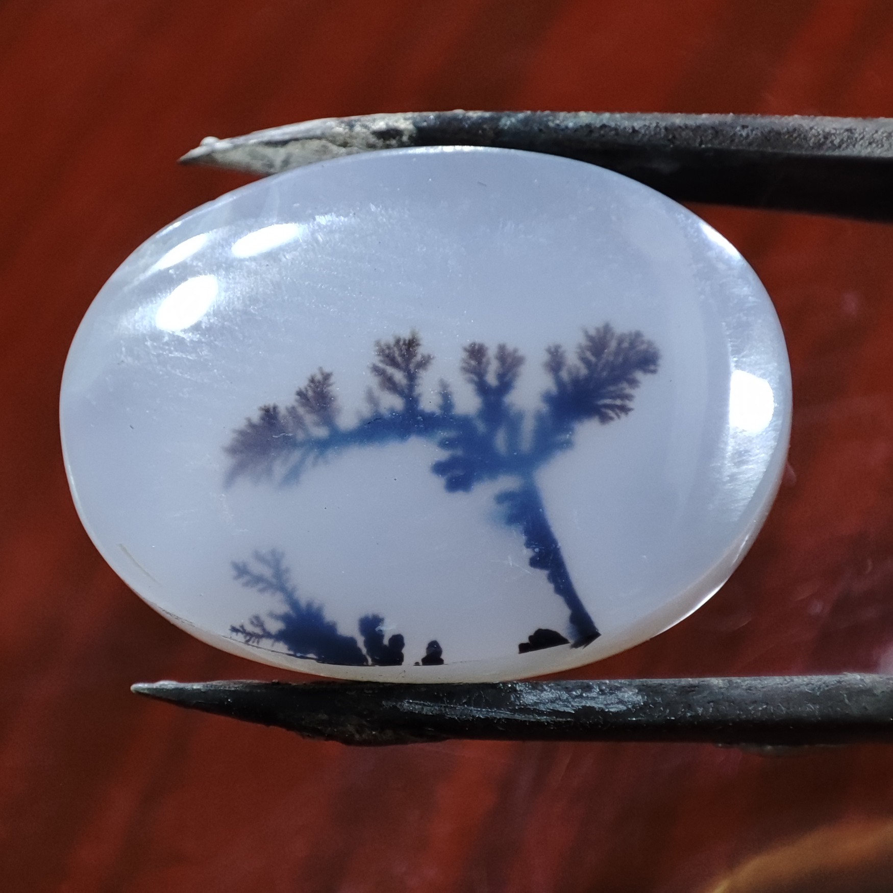 نگین شجر کد 2