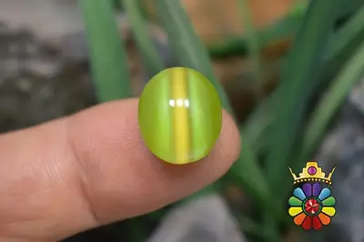 چشم گربه چینی