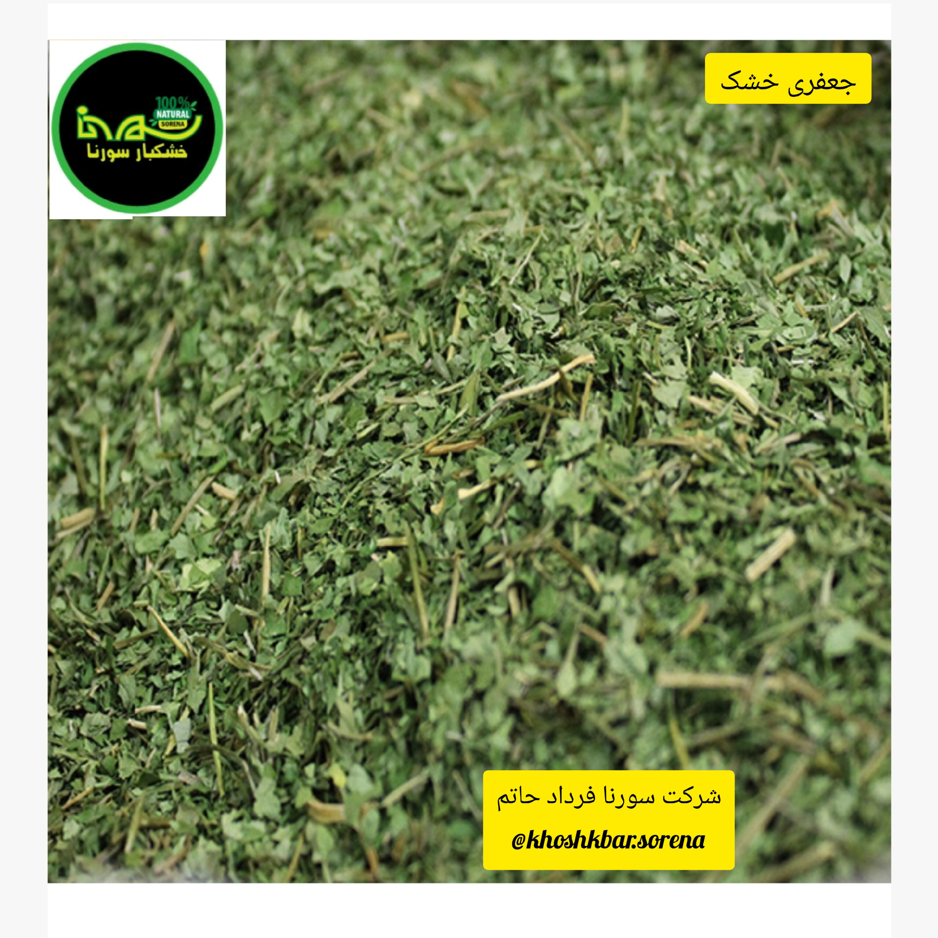 جعفری سبز محلی درجه یک تمیز سورت شده(مازندران قائمشهر) در بسته بندی 850 گرمی