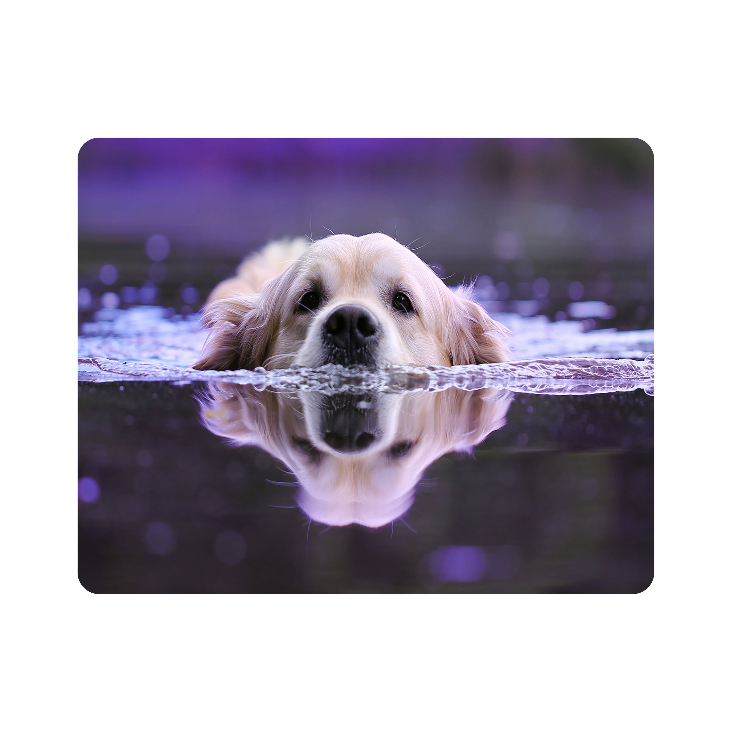 ماوس پد اطلس آبی طرح شنا سگ مدل T1550