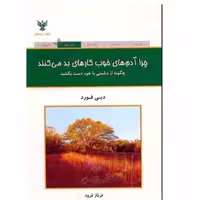 کتاب چرا آدمهای خوب کاری های بد میکنند اثر دبی فورد انتشارات کلک آزادگان 