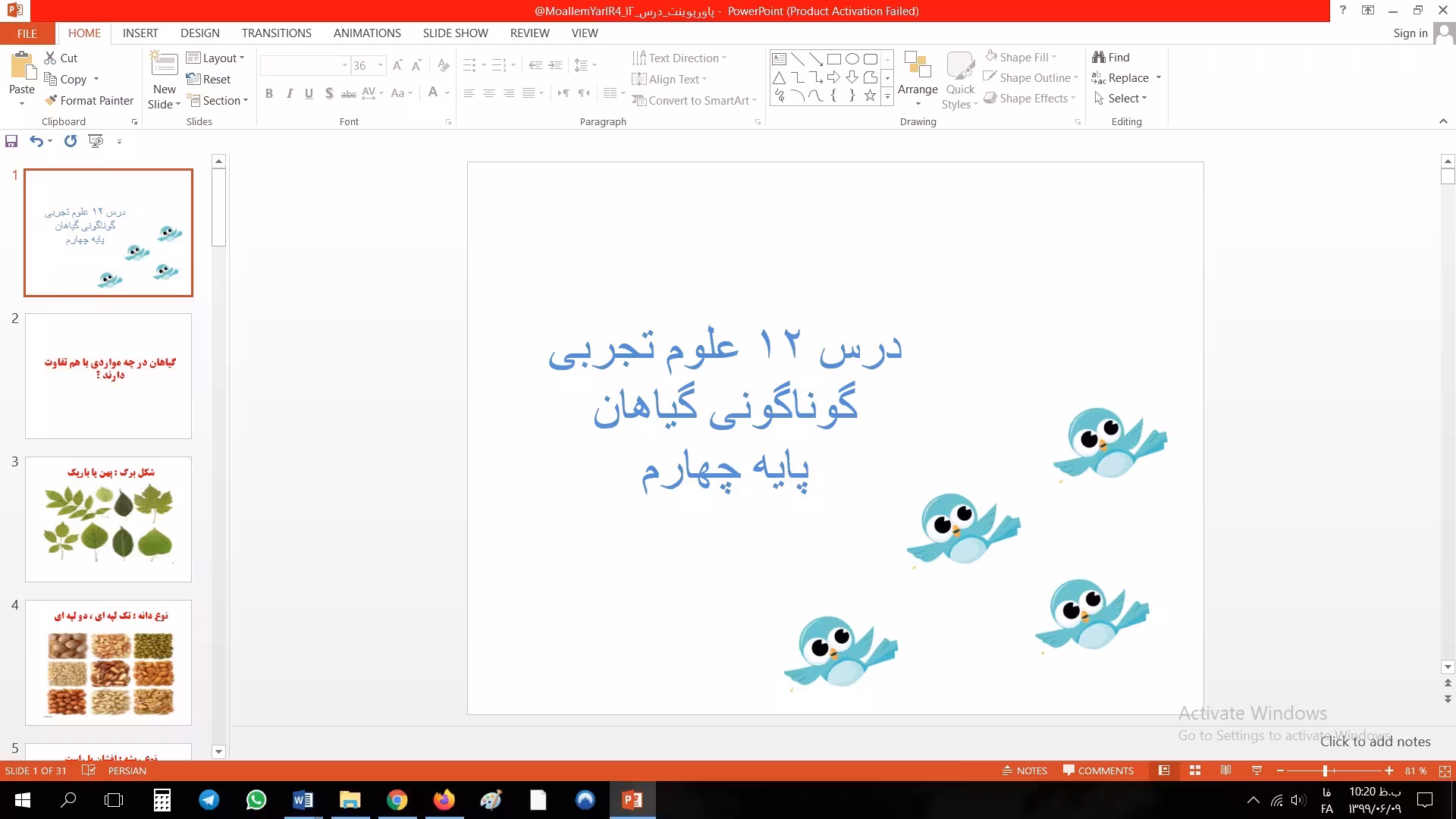 پاورپوینت درس 12 علوم تجربی گوناگونی گیاهان پایه چهارم
