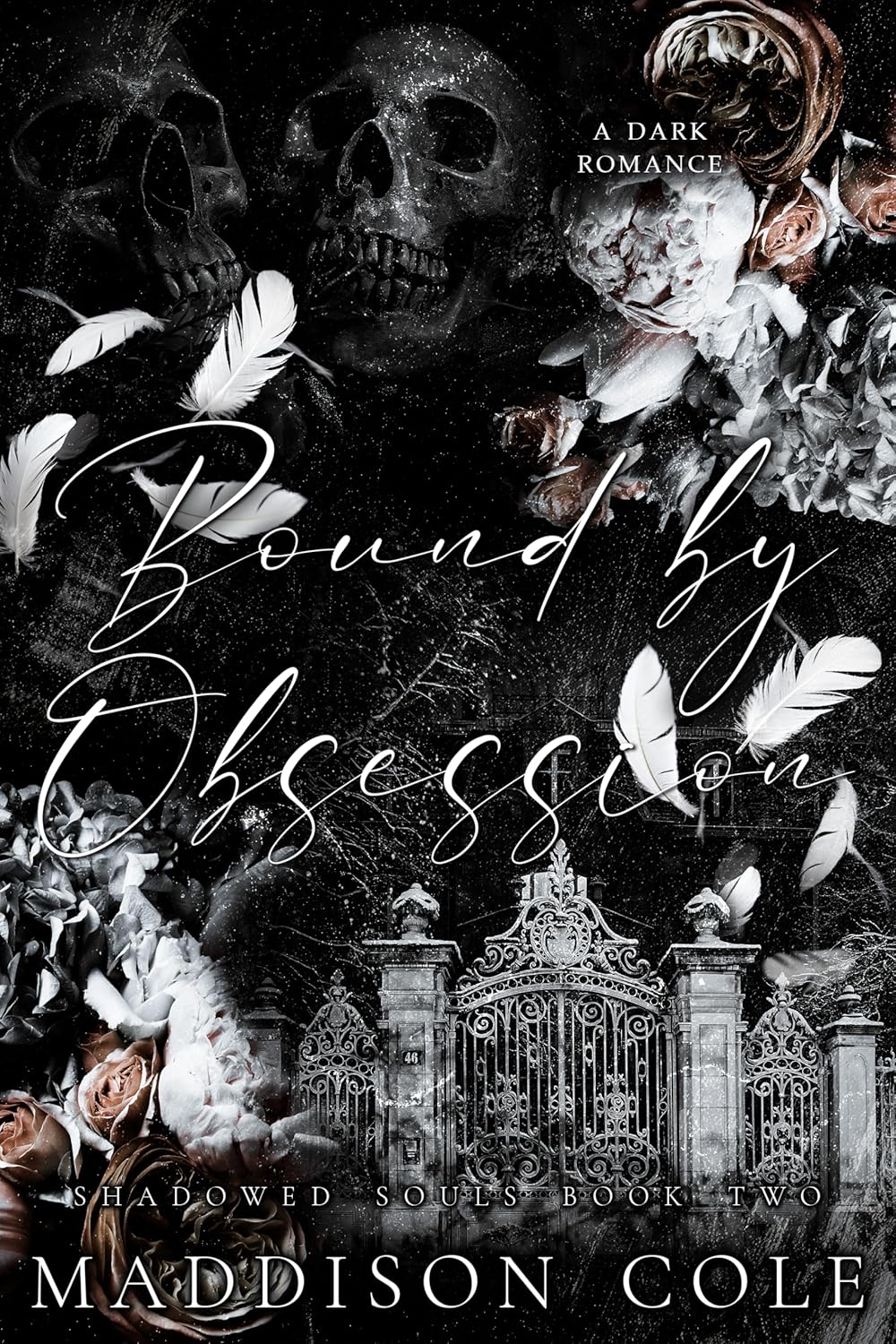 Bound by Obsession (Shadowed Souls Book 2)
