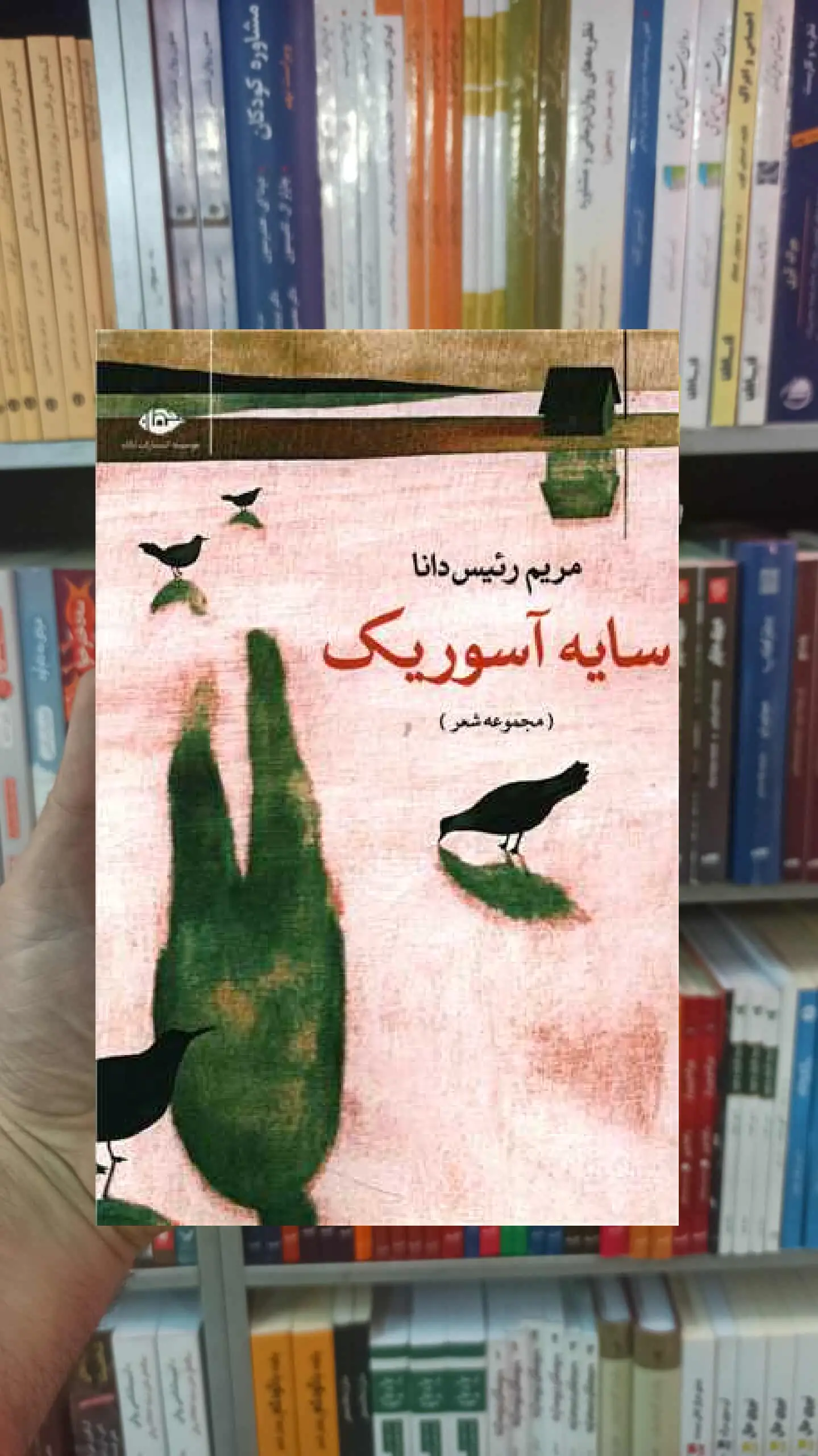 سایه آسوریک مریم رئیس دانا نگاه - بانک کتاب ماندگار-قیمت-خرید-کتاب-کمک-درسی-کنکور-دانشگاهی