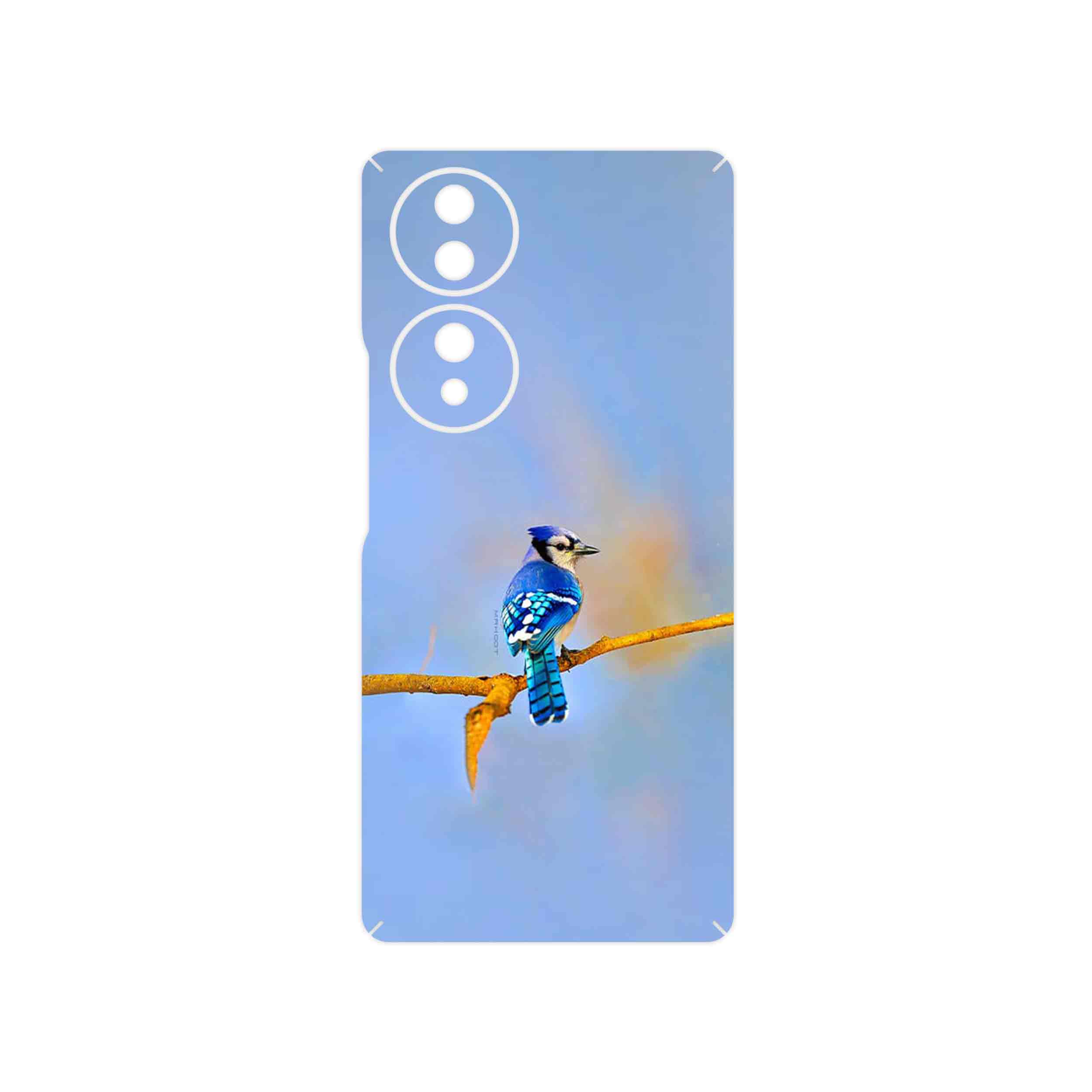 برچسب پوششی ماهوت مدل Cyanocitta cristata مناسب برای گوشی موبایل آنر 70