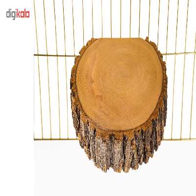 نشیمنگاه پرندگان هوبی مدل B123