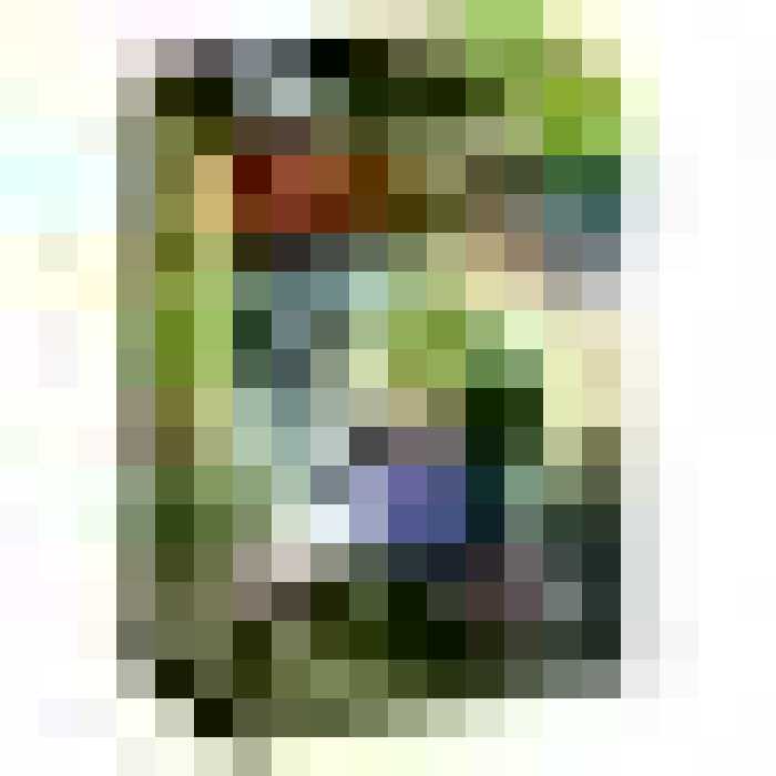 ساختنی دکول مدل 0201 تعداد 11 قطعه