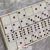 اطلاعات ، قیمت و خرید دومینو پلاستیکی سایز بزرگ DOMINO کد TNS22