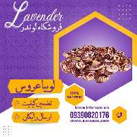 لوبیا عروس سورت شده ممتاز  (800گرمی) فروشگاه لوندر