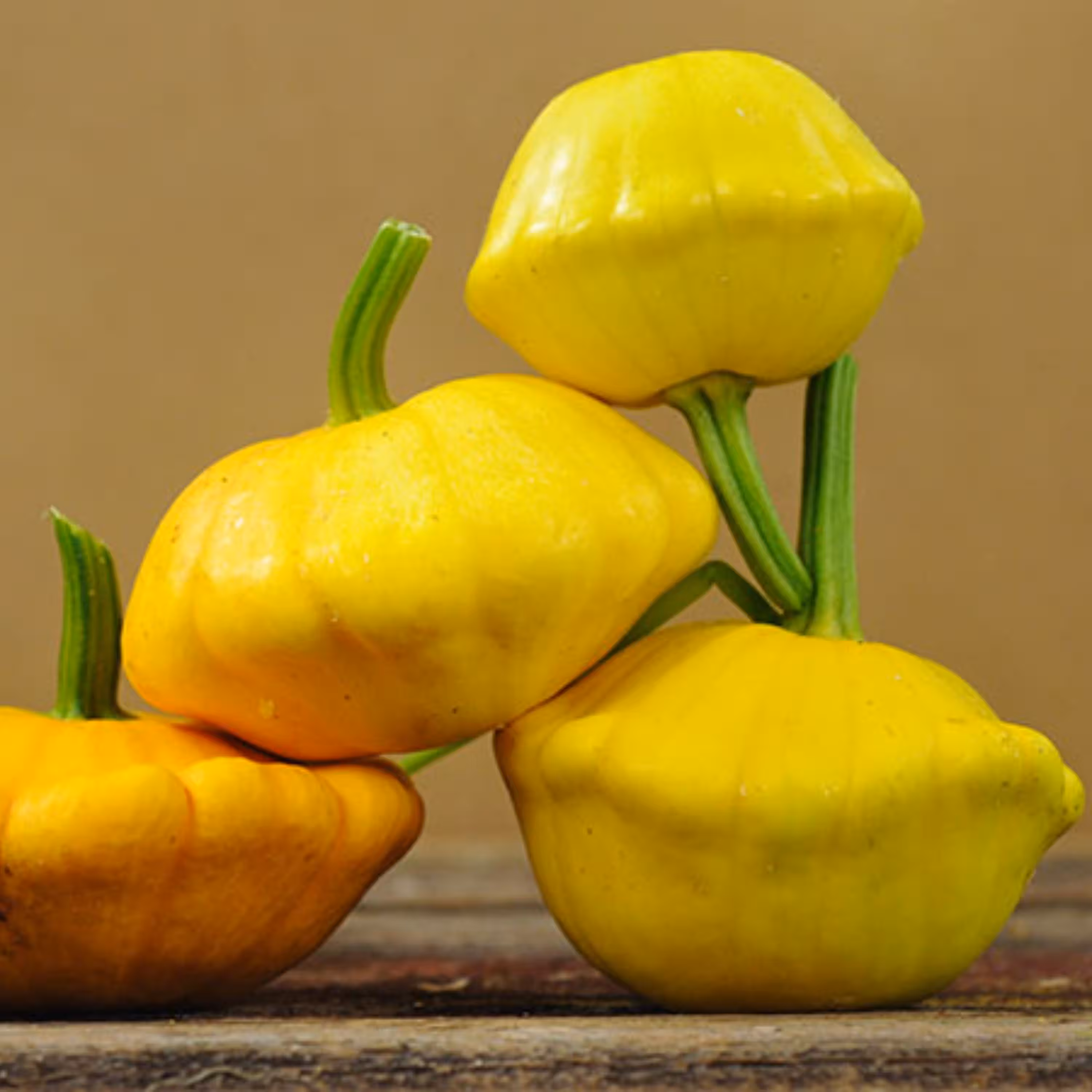 بذر کدو ستاره ای زرد 10 عددی