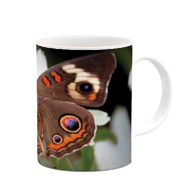 ماگ طرح پروانه مدل mgs05119