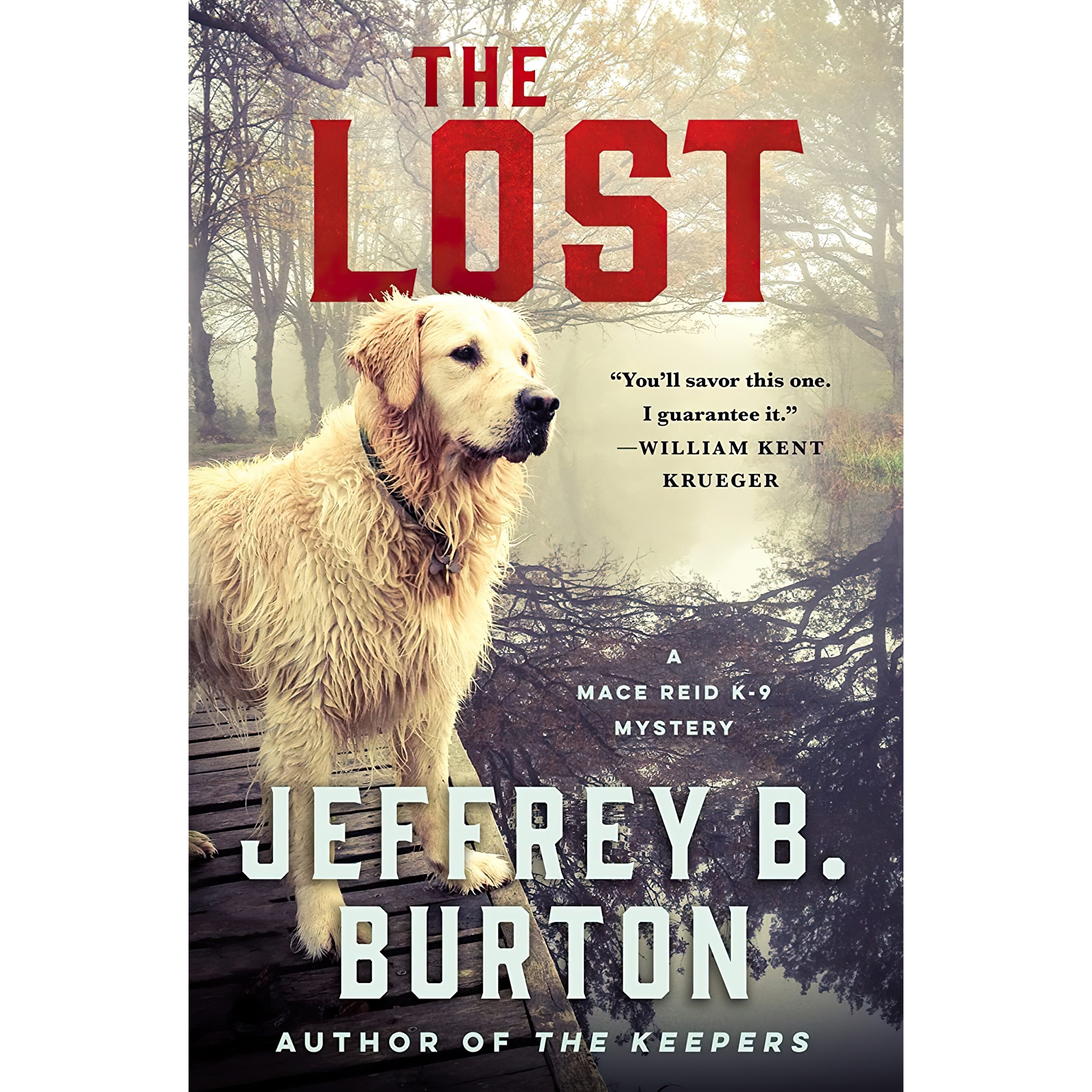 کتاب The Lost اثر Jeffrey B Burton انتشارات Minotaur Books