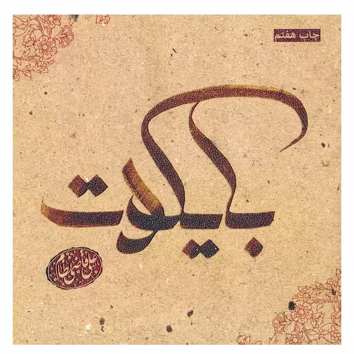 کتاب بایکوت اثر علی قاضی نظام انتشارات 360 درجه 