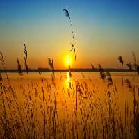 خرید و دانلود عکس Nature-Part-31 کد 36847 | پیک فاکس | Pic Fox