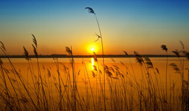 خرید و دانلود عکس Nature-Part-31 کد 36847 | پیک فاکس | Pic Fox