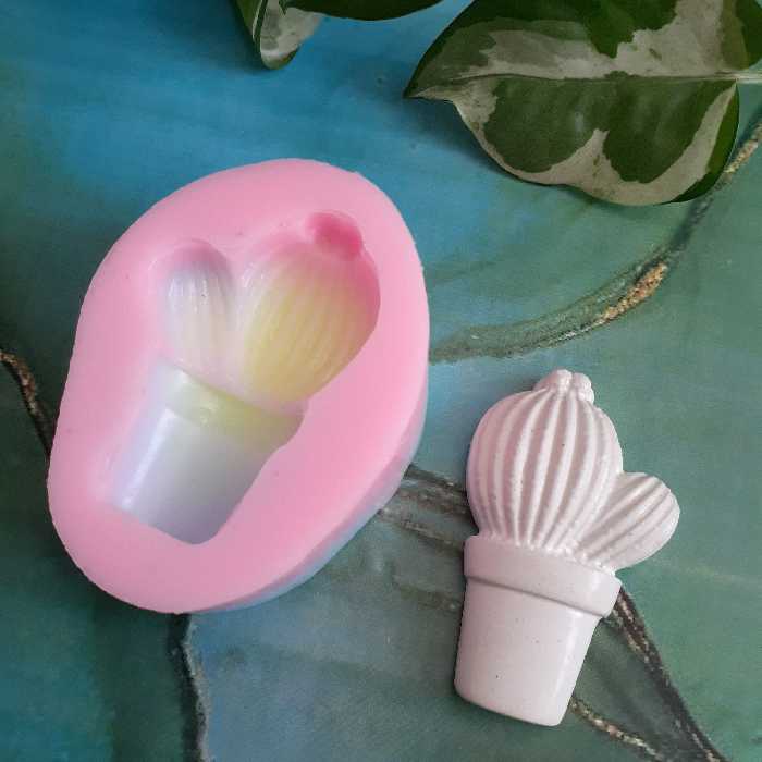 قالب سیلیکونی کاکتوس مگنتی 2