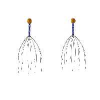 ماساژور سر کد 2 بسته 2 عددی