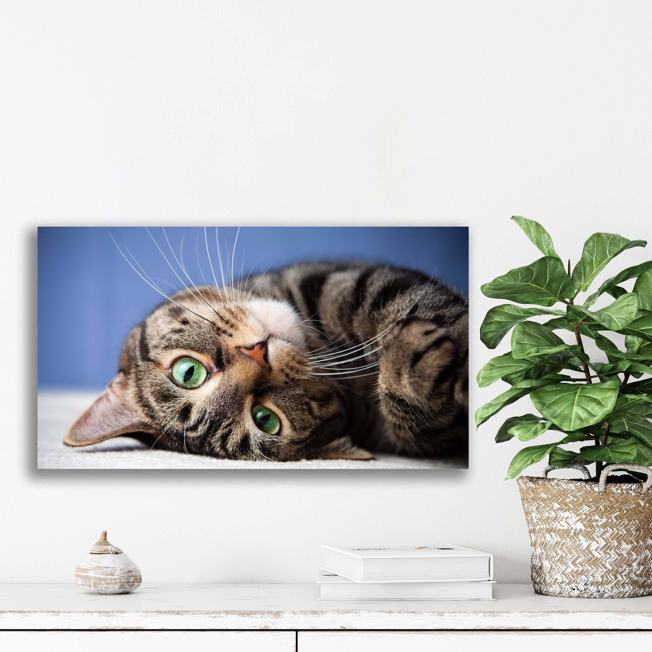 تابلو شاسی آتریسا مدل حیوانات animal