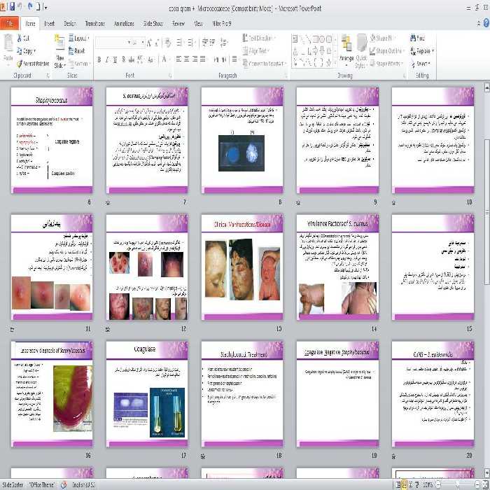 پاورپوينت کوکسی های گرم مثبت Micrococcaceae