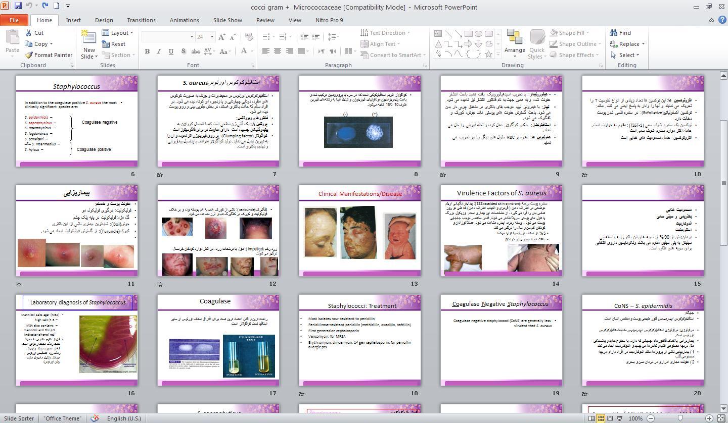 پاورپوينت کوکسی های گرم مثبت Micrococcaceae