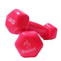 دمبل شش ضلعی 1 کیلوگرمی رکورد کد 2 بسته 2 عددی | چاوه