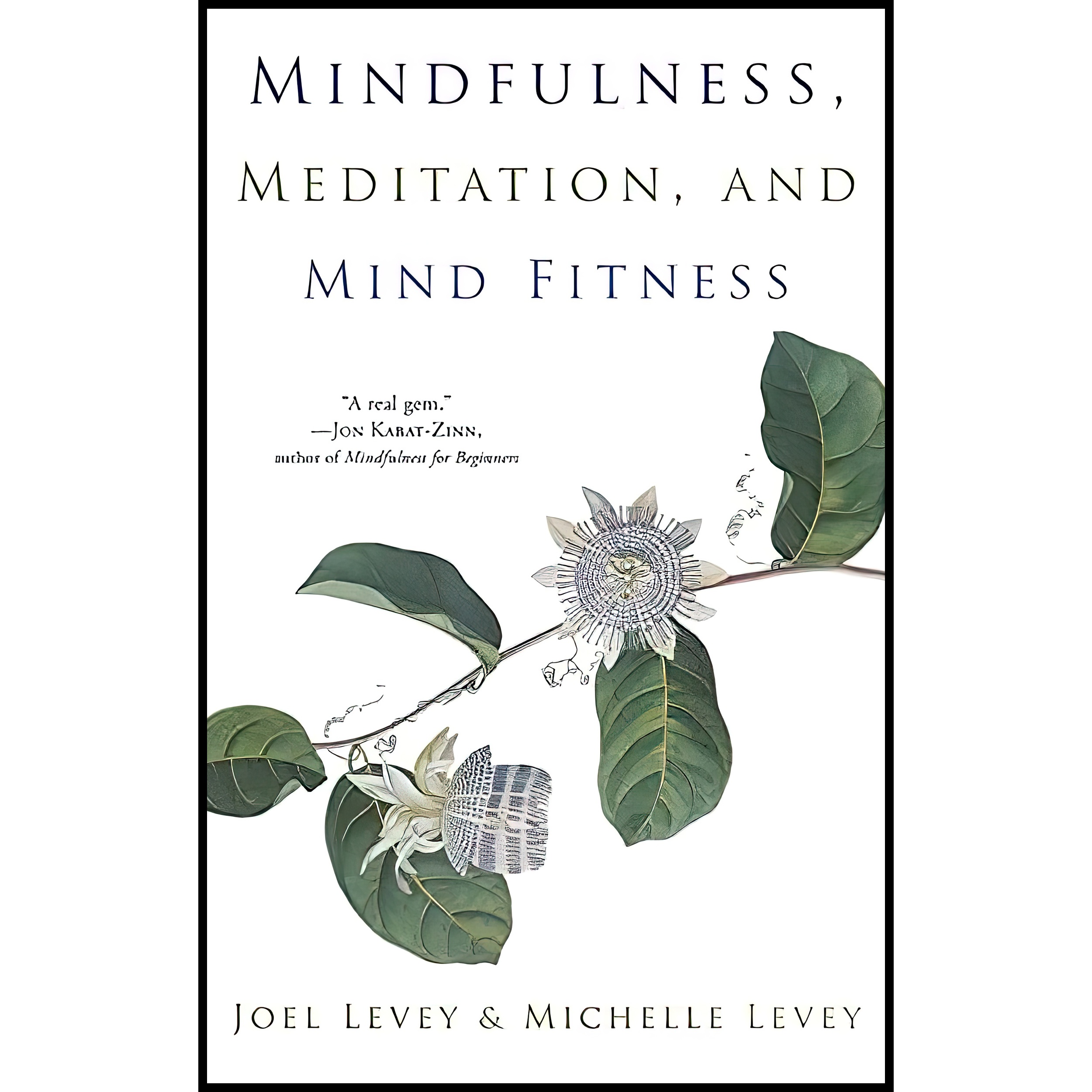کتاب Mindfulness, Meditation, and Mind Fitness اثر Joel Levey and Michelle Levey انتشارات Conari Press