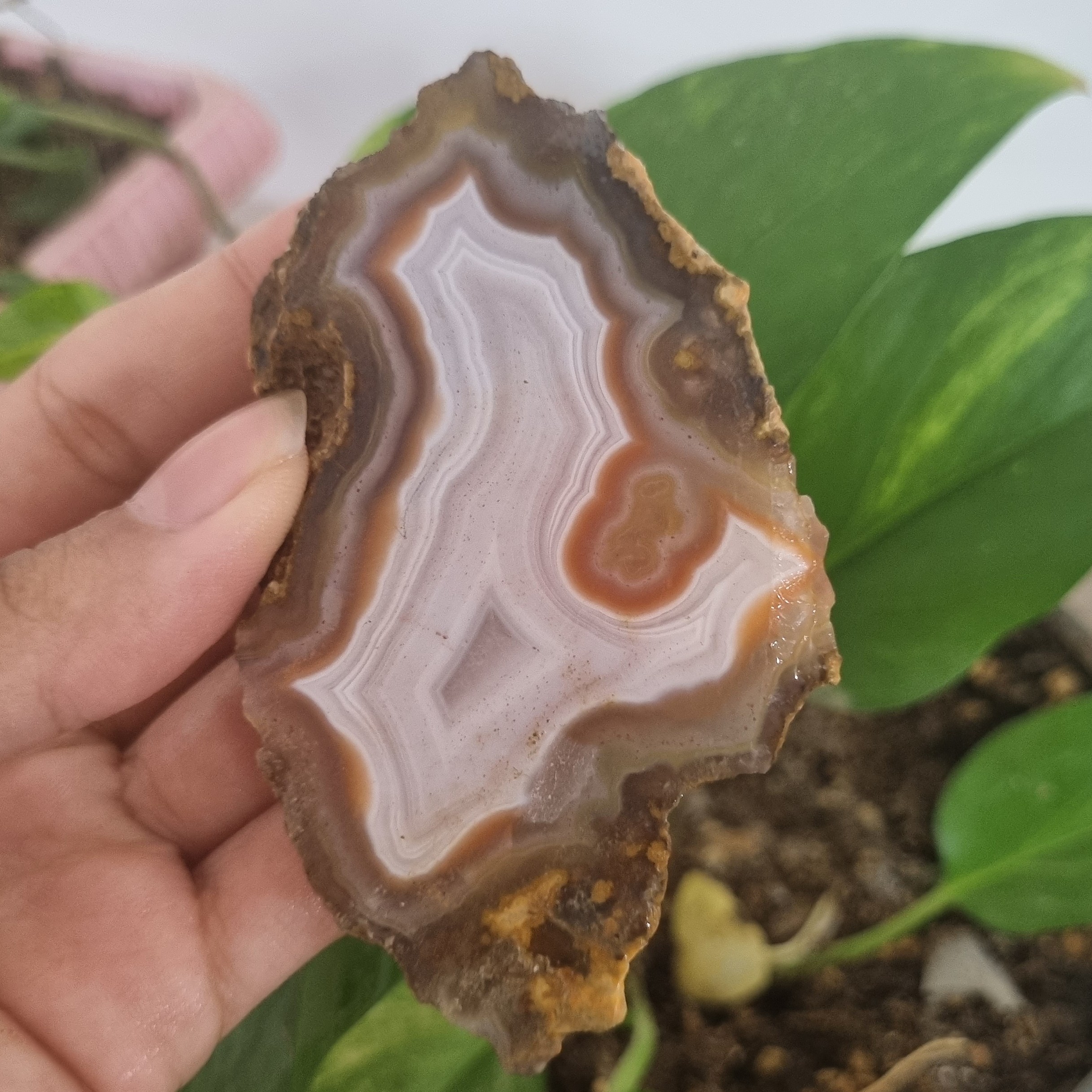 سنگ سلیمانی کد61