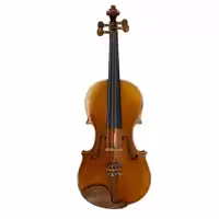 ویولن مدل Paolo Leoneri M9
