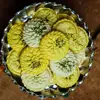 دیس مسی مدل تزیینی