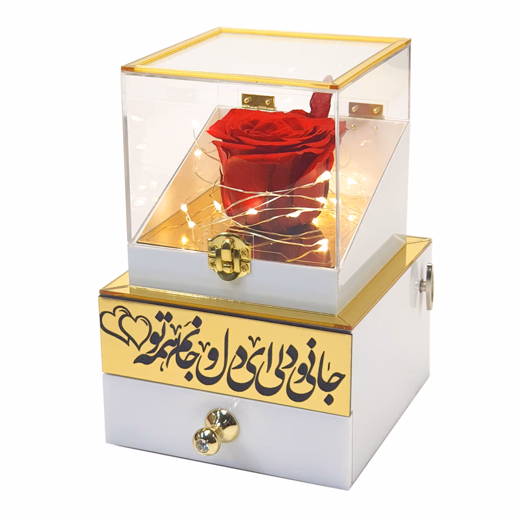 گل رز جاودان مدل موزیکال کوکی طرح جانی و دلی 