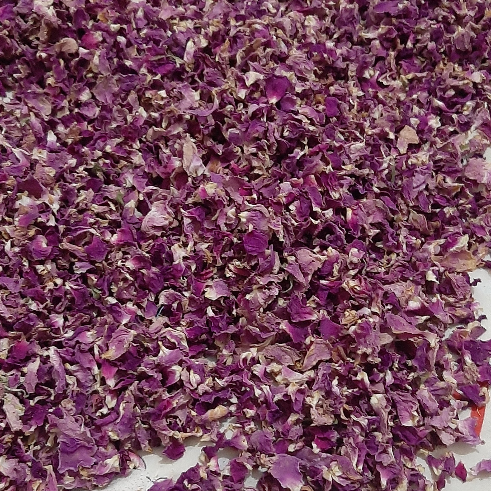 گل محمدی خشک امسالی