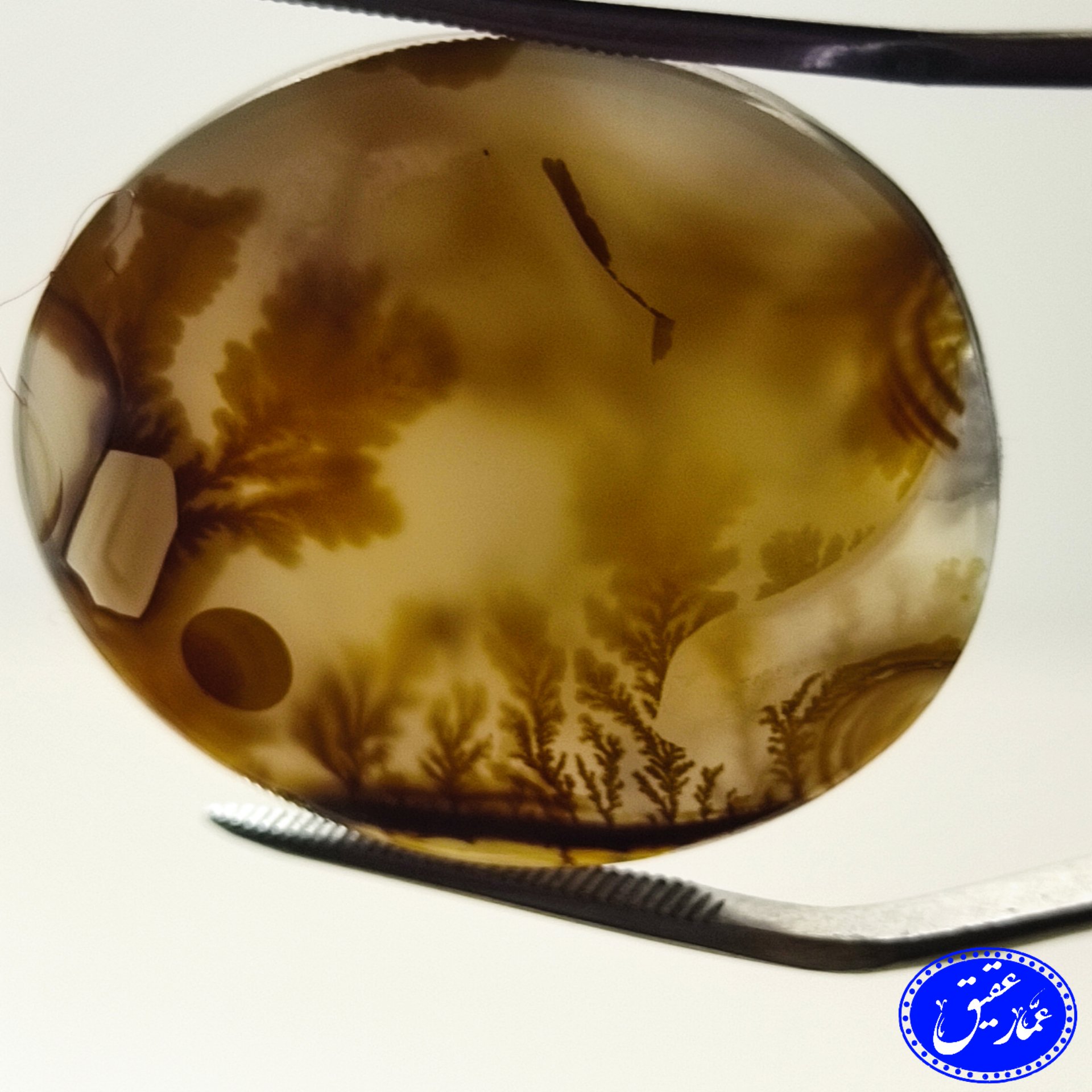 نگین عقیق شجر سایز درشت قائنات