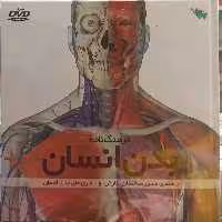 فرهنگ نامه بدن انسان نشر طلایی - بانک کتاب ماندگار-قیمت-خرید-کتاب-کمک-درسی-کنکور-دانشگاهی