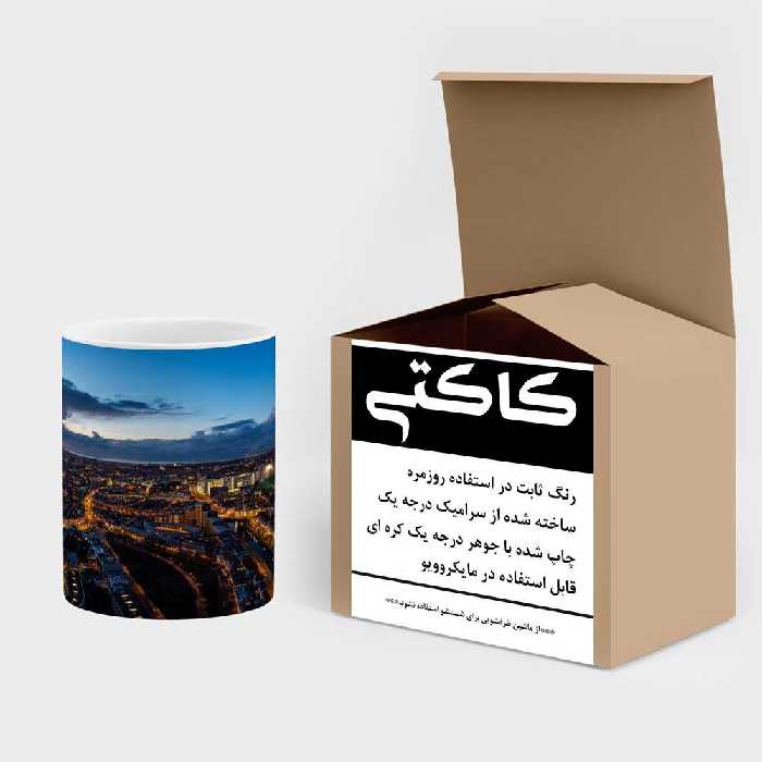 ماگ کاکتی طرح شهر مدل mgs16311