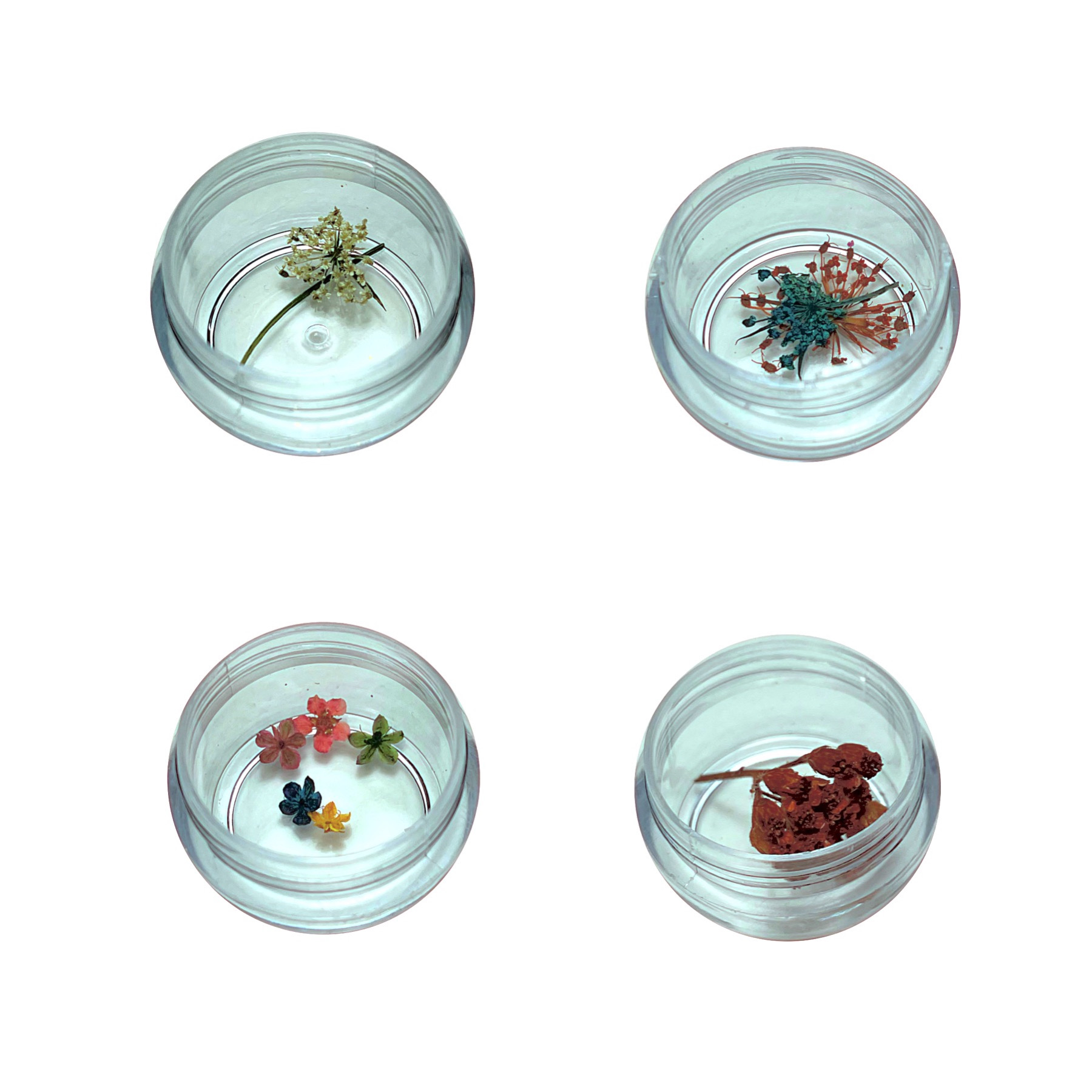 گل خشک مدل 013 مجموعه چهار عددی